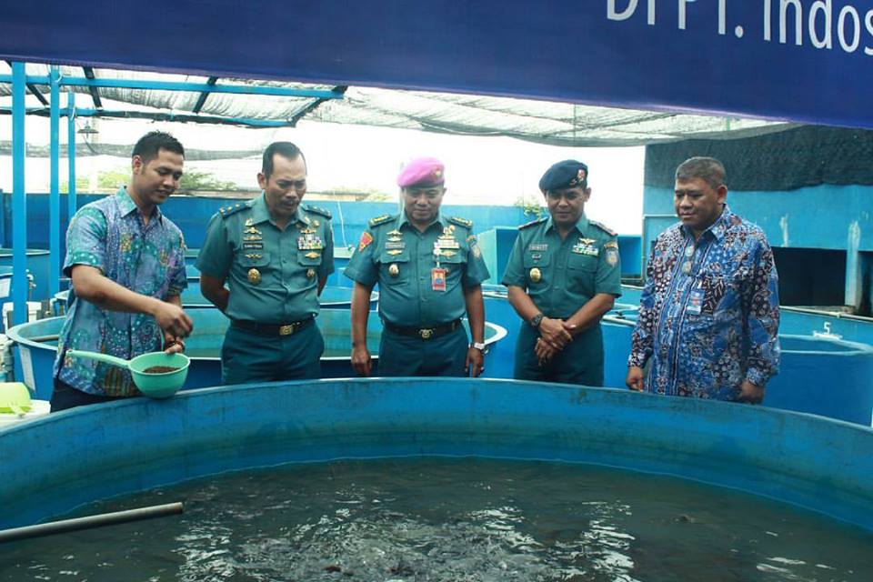 img-1493582414.jpg