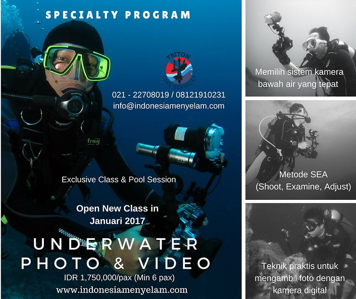 Underwater Photo and Video - Specialty