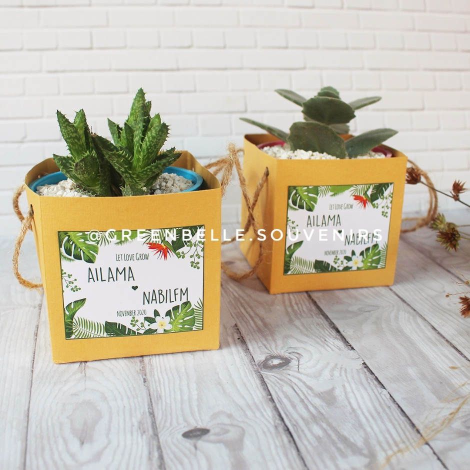 Paper Bag Pot Warna - Souvenir Kaktus mini