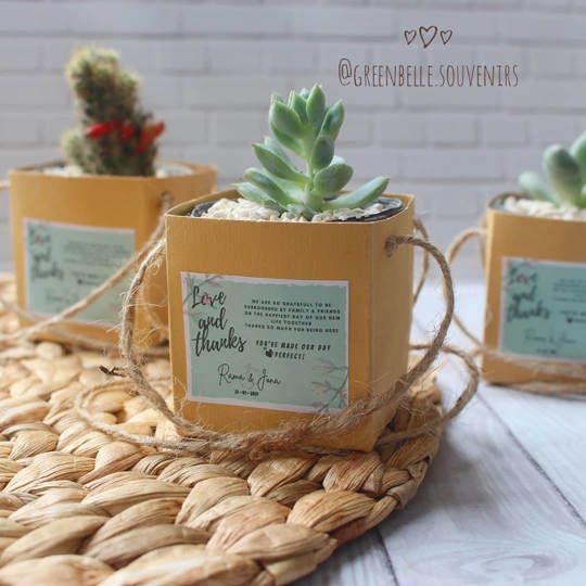 Paperbag 6 cm - Souvenir Kaktus Mini
