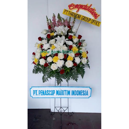 SPSF 43
