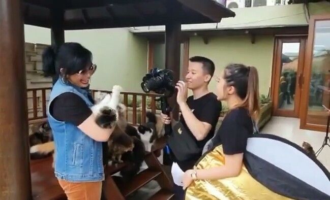 Keseruan Maya Saat Syuting Bersama Kucing-Kucing Kesayangan