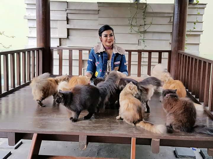Maya Miranda Ambarsari Bersama Kucing Kesayangan