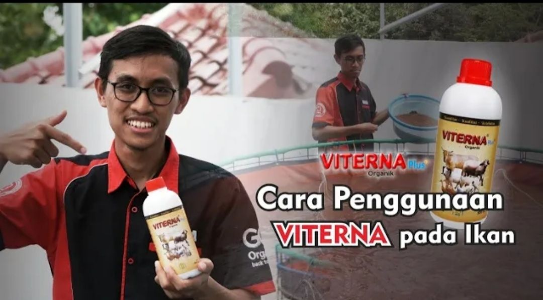 Penggunaan Viterna Pada Ikan