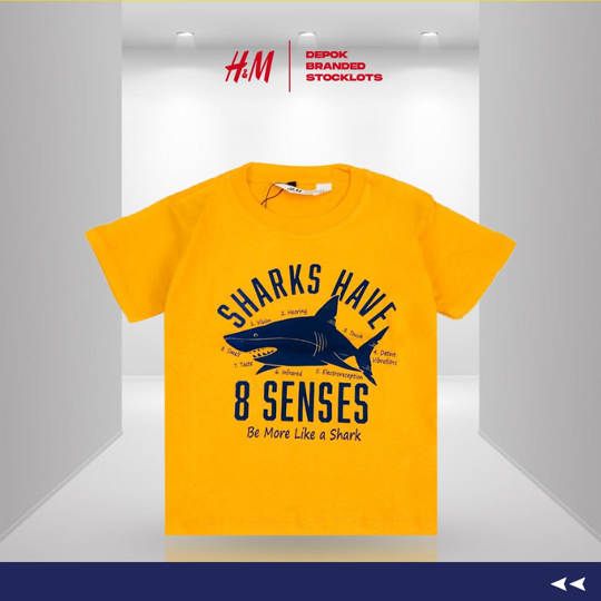 Distributor Kaos Anak Merk H&M Harga Murah 01