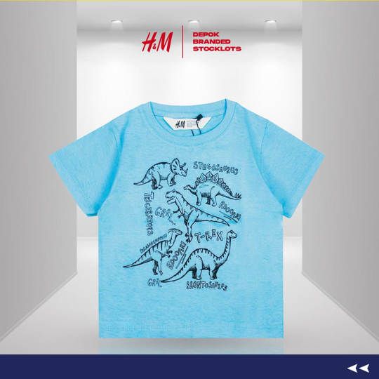 Distributor Kaos Anak Merk H&M Harga Murah 06
