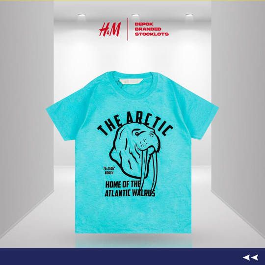Distributor Kaos Anak Merk H&M Harga Murah 09