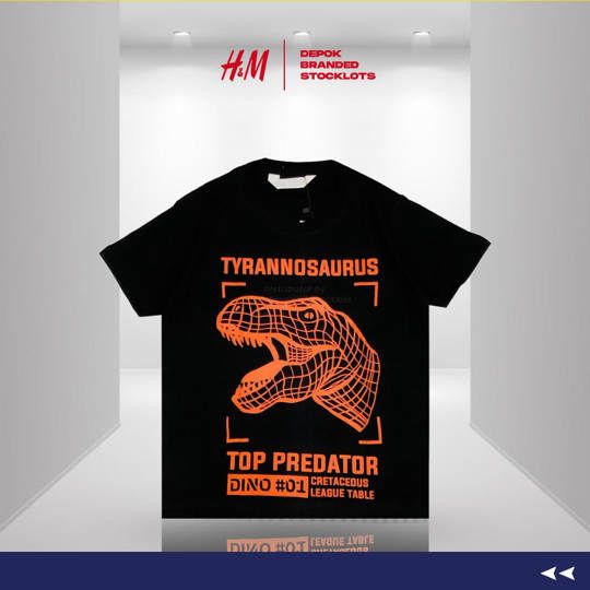 Distributor Kaos Anak Merk H&M Harga Murah 10