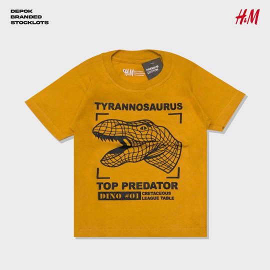 Distributor Baju H&M Junior Murah 10