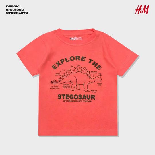 Distributor Kaos Anak Merk H&M Murah 02