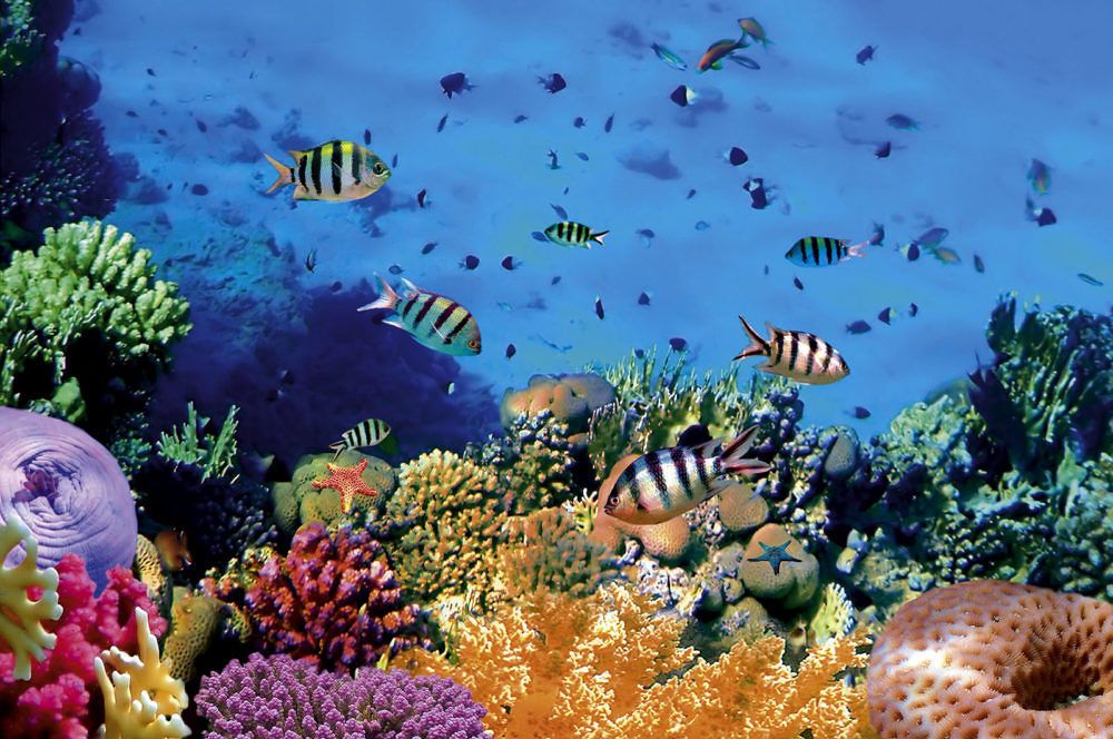 Tempat Wisata Di Manado Yang Memanjakan Mata
