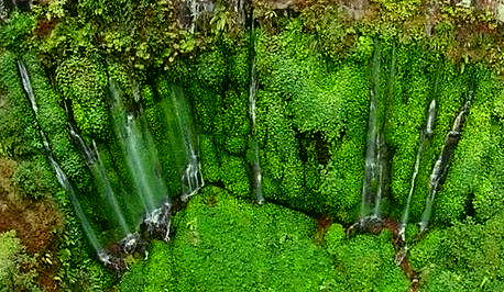 Lokasi Lengkap Dan Rute Menuju Ke Air Terjun Sumber Pitu Pujon