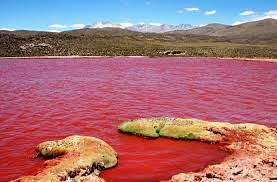 Danau Merah Pagaralam, Danau Penuh Misteri di Bengkulu