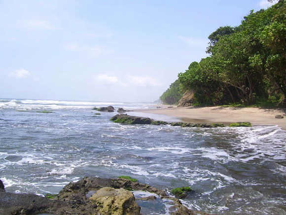 Pantai Karang Nini Pangandaran, Keindahan Dibalik Rerimbunan Hutan