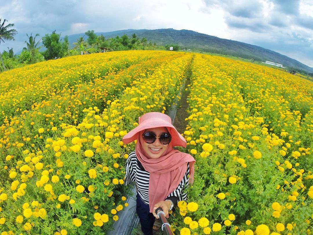 Inilah Taman Bunga di Indonesia yang Cocok Menjadi Destinasi Liburanmu