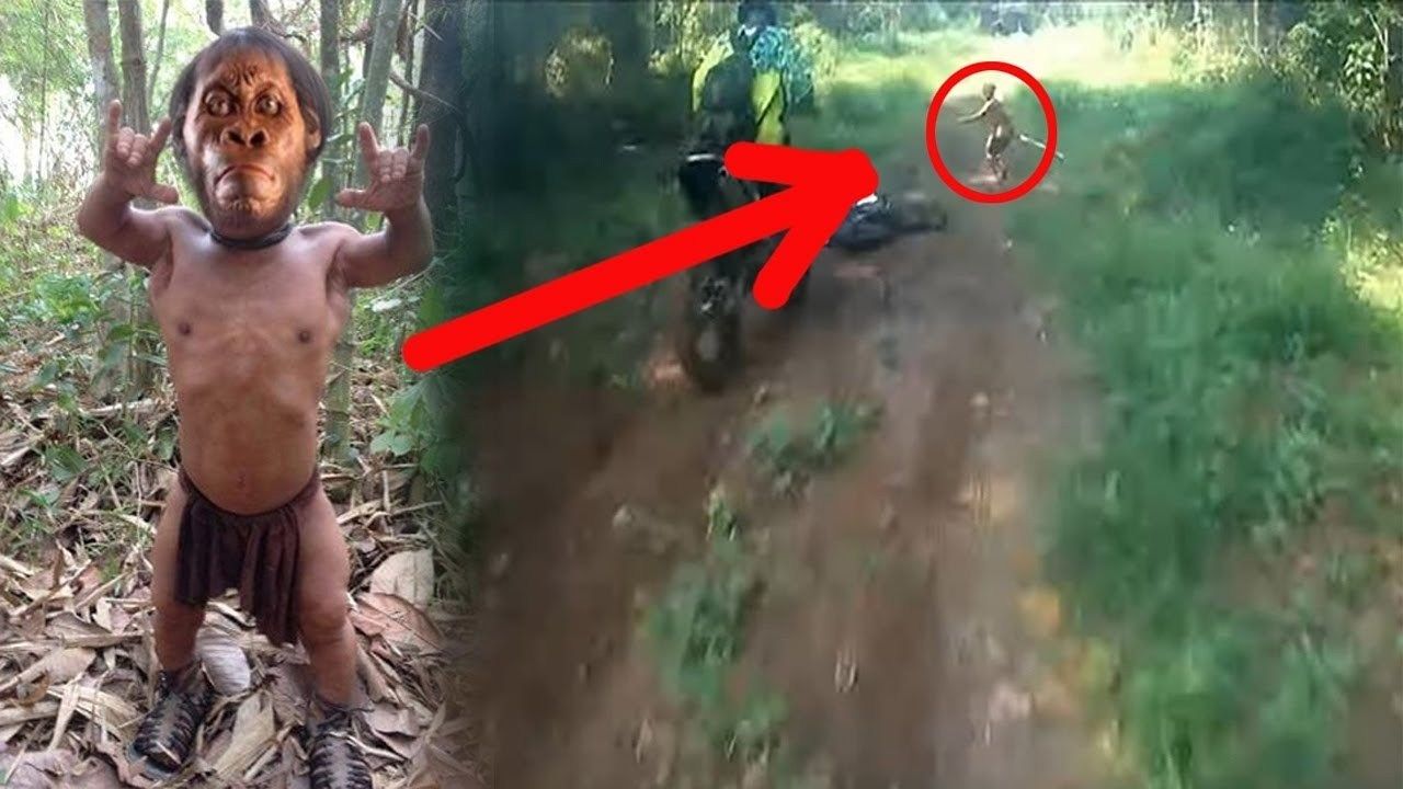 5 Suku Misterius Ini Masih Ada di Indonesia, Satu di Antaranya Suku Kanibal