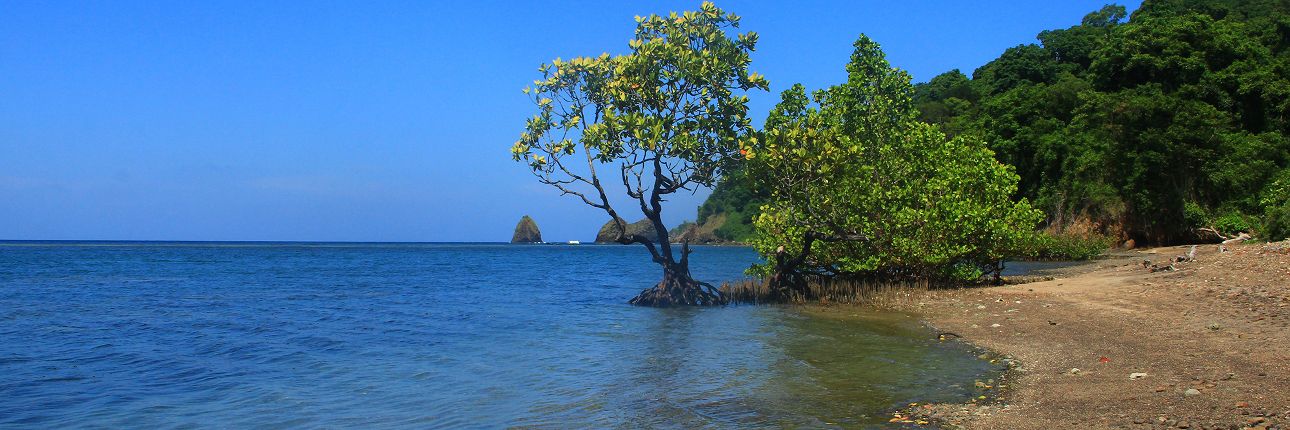 Menguak Pulau Tumbak, Menyaksikan Sisi Lain Keindahan Sulawesi Utara