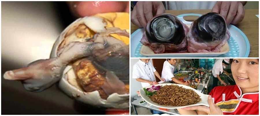 Makanan Teraneh yang Ada di Dunia