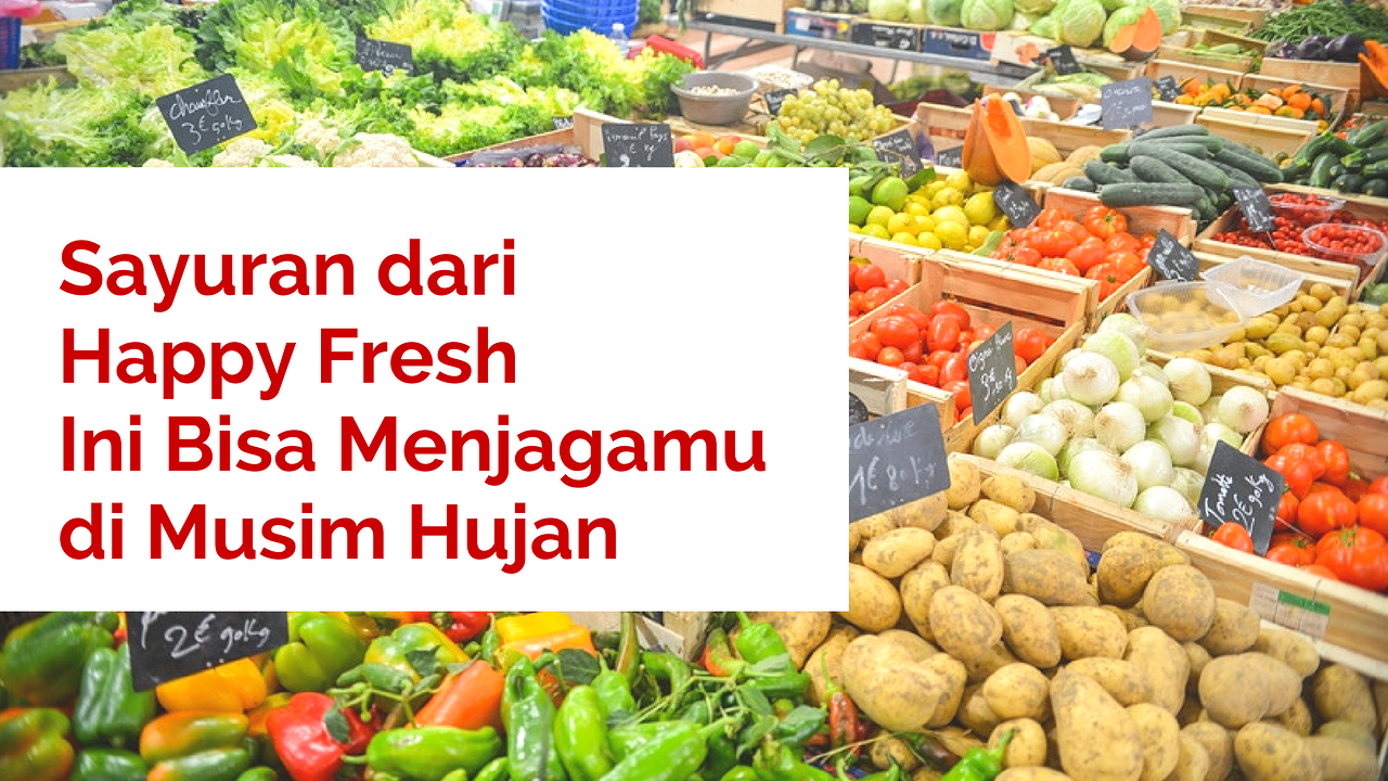 Hadapi Dinginnya Musim Hujan Dengan Sayuran Sehat Dari Happy Fresh