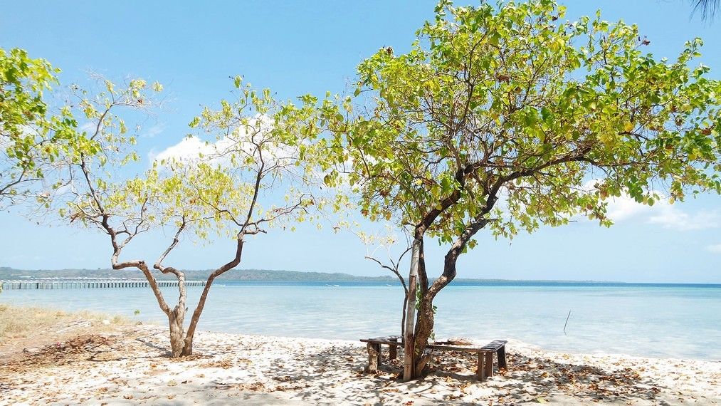 KEINDAHAN PANTAI HOGA