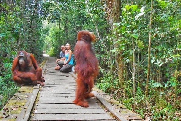 7 Cagar Alam Terbaik di Indonesia, Yuk Belajar Lingkungan di Sini!
