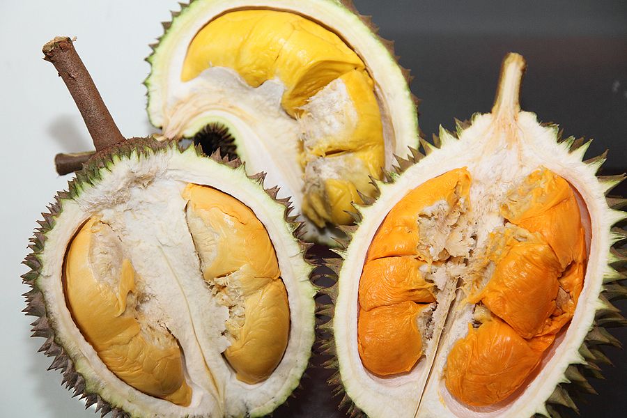 Aneka Makanan Tradisional Yang Dibuat Dari Buah Durian