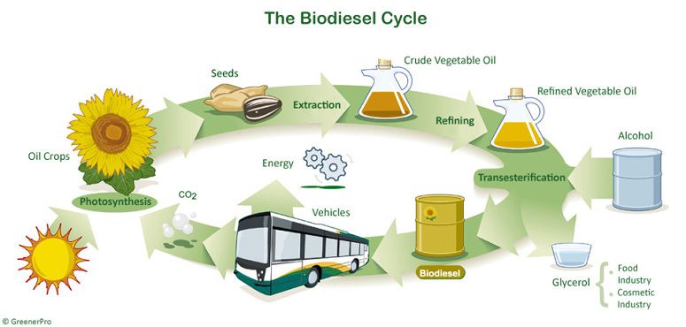 Contoh Bio Energi | salahsatu contoh hasil dari bbn atau bahan bakar nabati Contoh Bio Energi | salahsatu contoh hasil dari bbn atau bahan bakar nabati