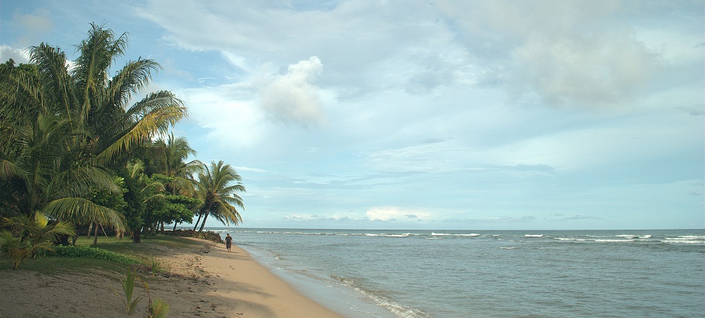 img-1486631555.jpg