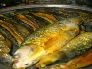 img-1488953720.png