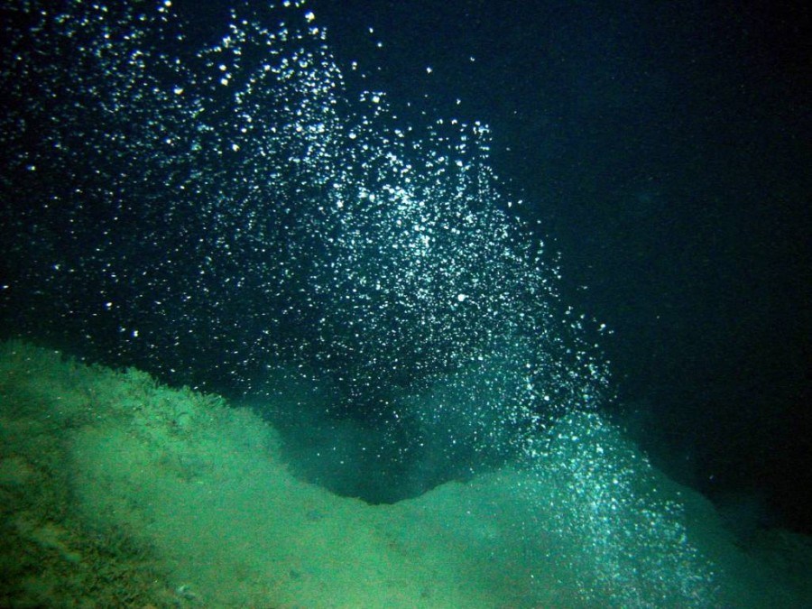 img-1489119397.jpg