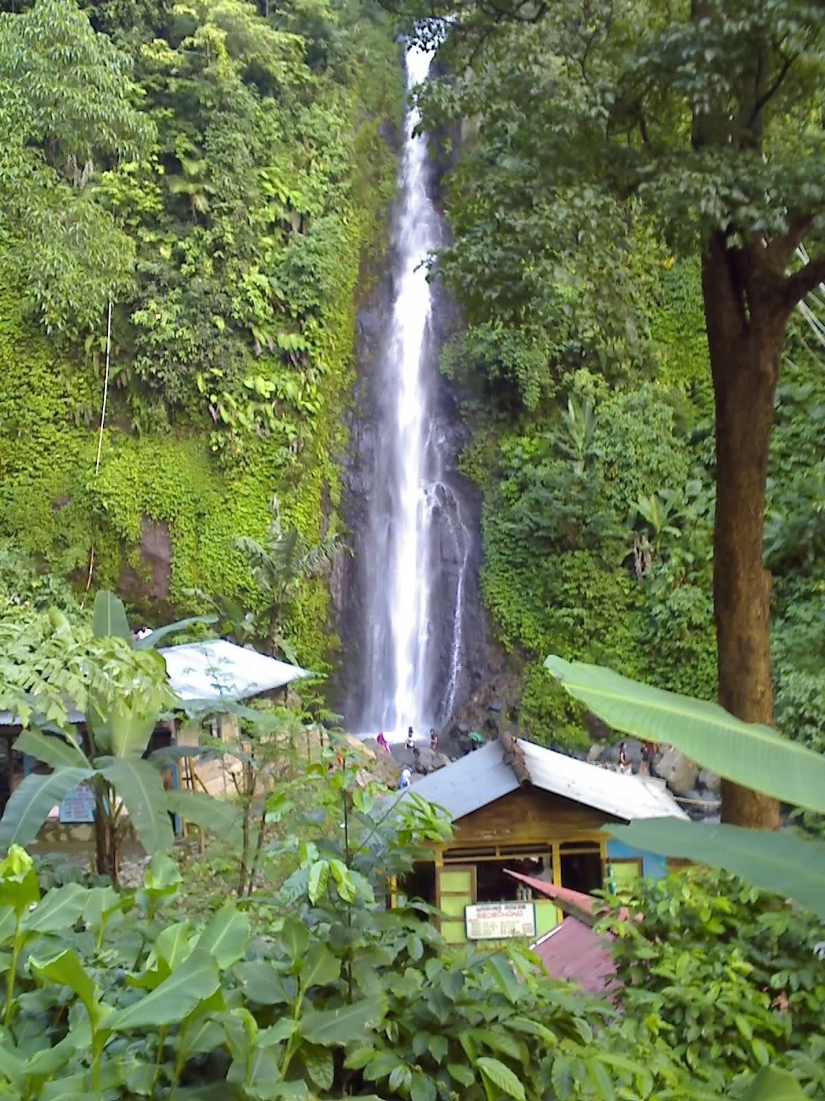 img-1490269982.jpeg