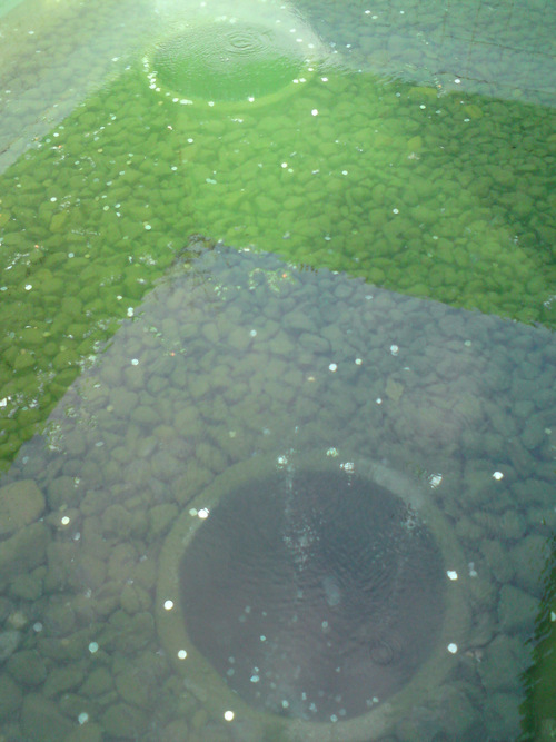 img-1490270379.jpg