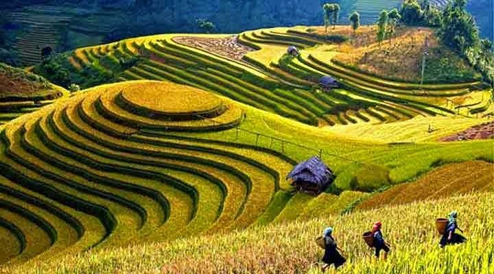 keindahan desa Jatiluwih Bali