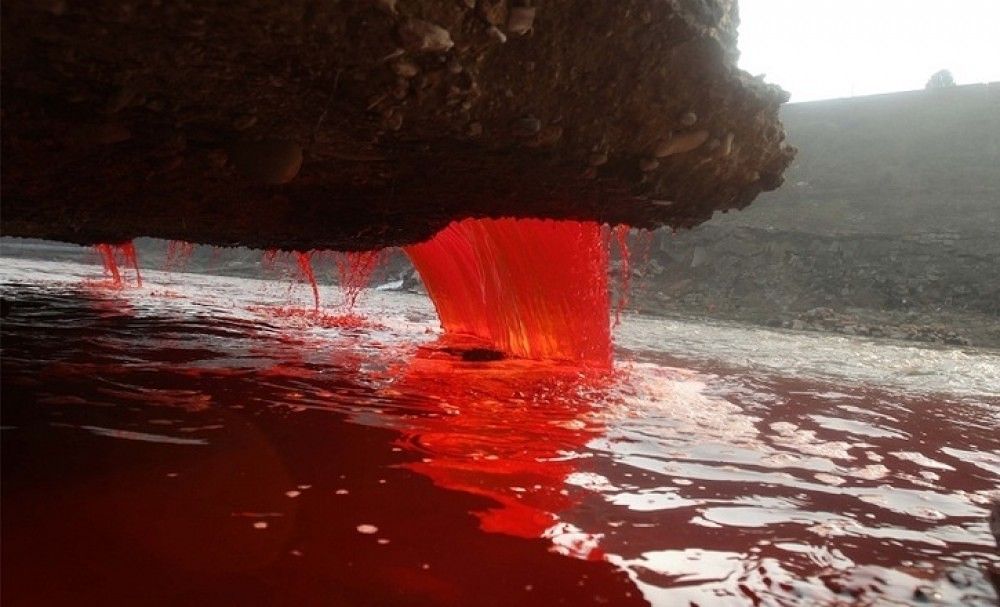 Sungai Darah di Antartika... 3 Misteri yang Akhirnya Terpecahkan
