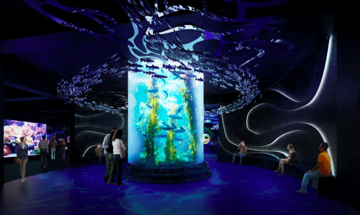 Ajak Anak Untuk Bermain Sambil Belajar Di Jakarta Aquarium