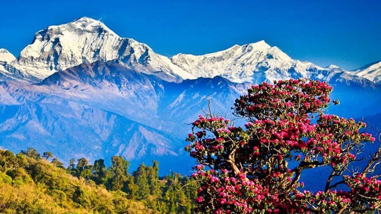 Tahu Negara Bhutan? Jarang Didatangi Sebenarnya, Tapi Biaya Travelingnya Sampai 2,6 Juta Per Hari