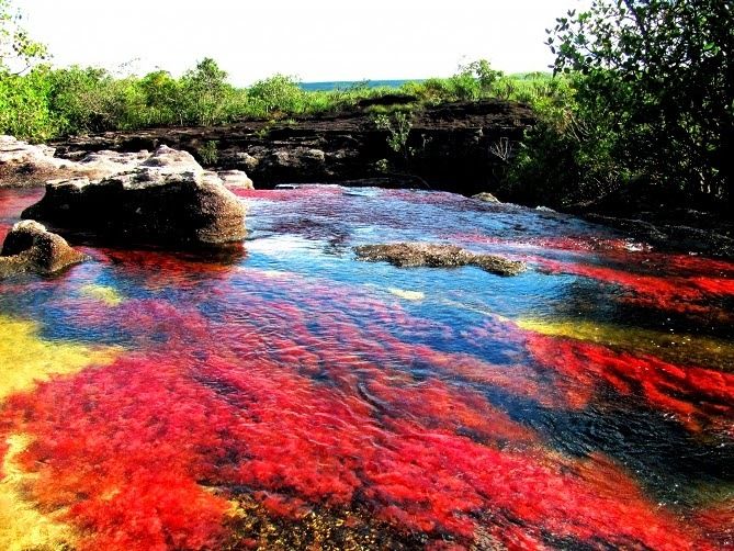 Sungai 5 Warna Paling Indah Di Dunia