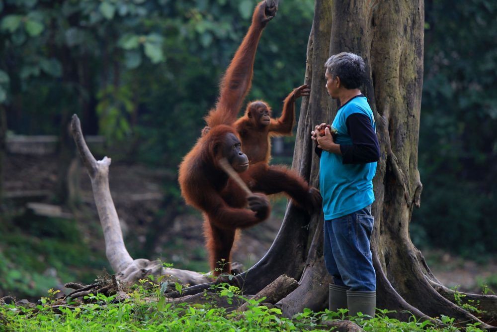 Kenali Budaya Jawa Melalui 10 Tempat Wisata Di Solo