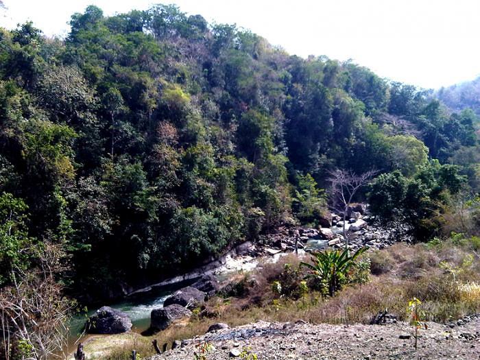 Istana Ular di Lembor, Manggarai Barat, Flores