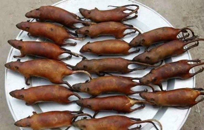10 Makanan Aneh Ini Jadi Favorit Masyarakat