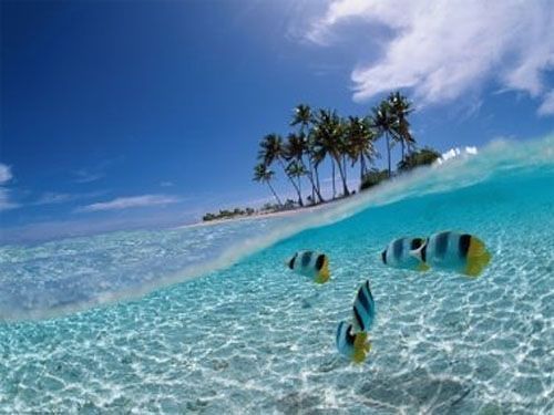 pulau moyo