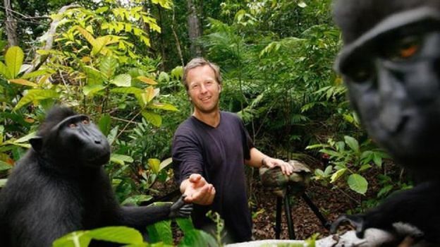 Fotografer Menangkan Sengketa Foto Selfie Monyet di Hutan Indonesia