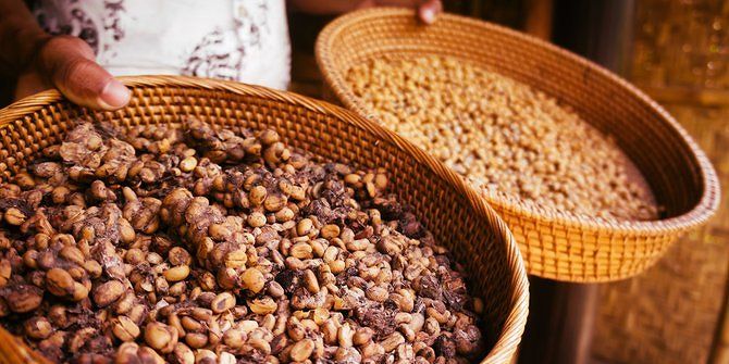 Indonesia Surganya Kopi