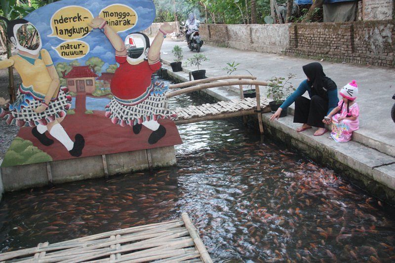 Kolam Ikan Nila di Saluran Irigasi