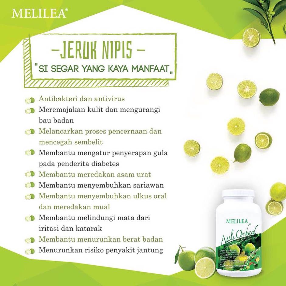 Melilea gfo harga member celebrity Melilea gfo harga member celebrity