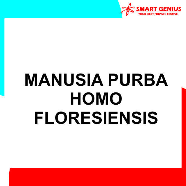 Manusia Purba Homo Floresiensis