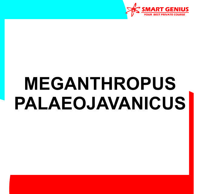 Manusia Purba Meganthropus Palaeojavanicus