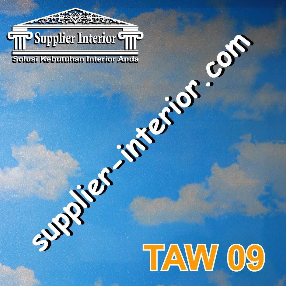 TAW 09