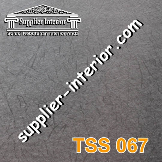 TSS 067