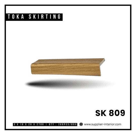 SK 809